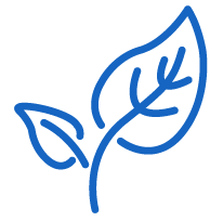 Salud y Seguridad Ambiental